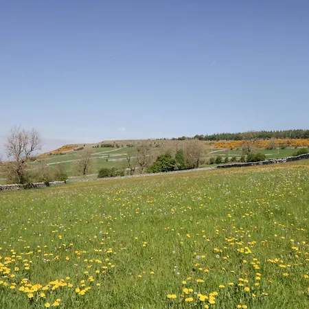 Tethera בית נופש